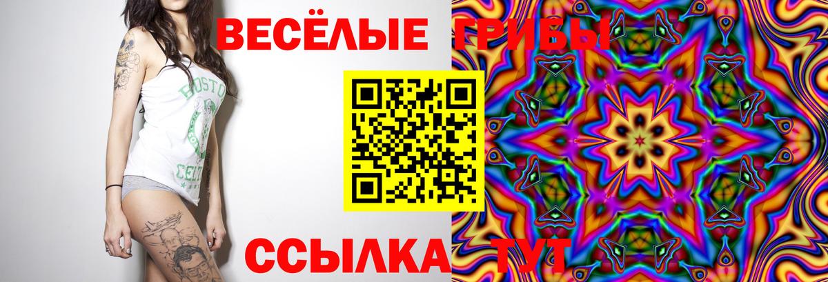 Скопин  где купить наркоту  Вход с VPN  Галлюциногенные грибы Psilocybine cubensis 
